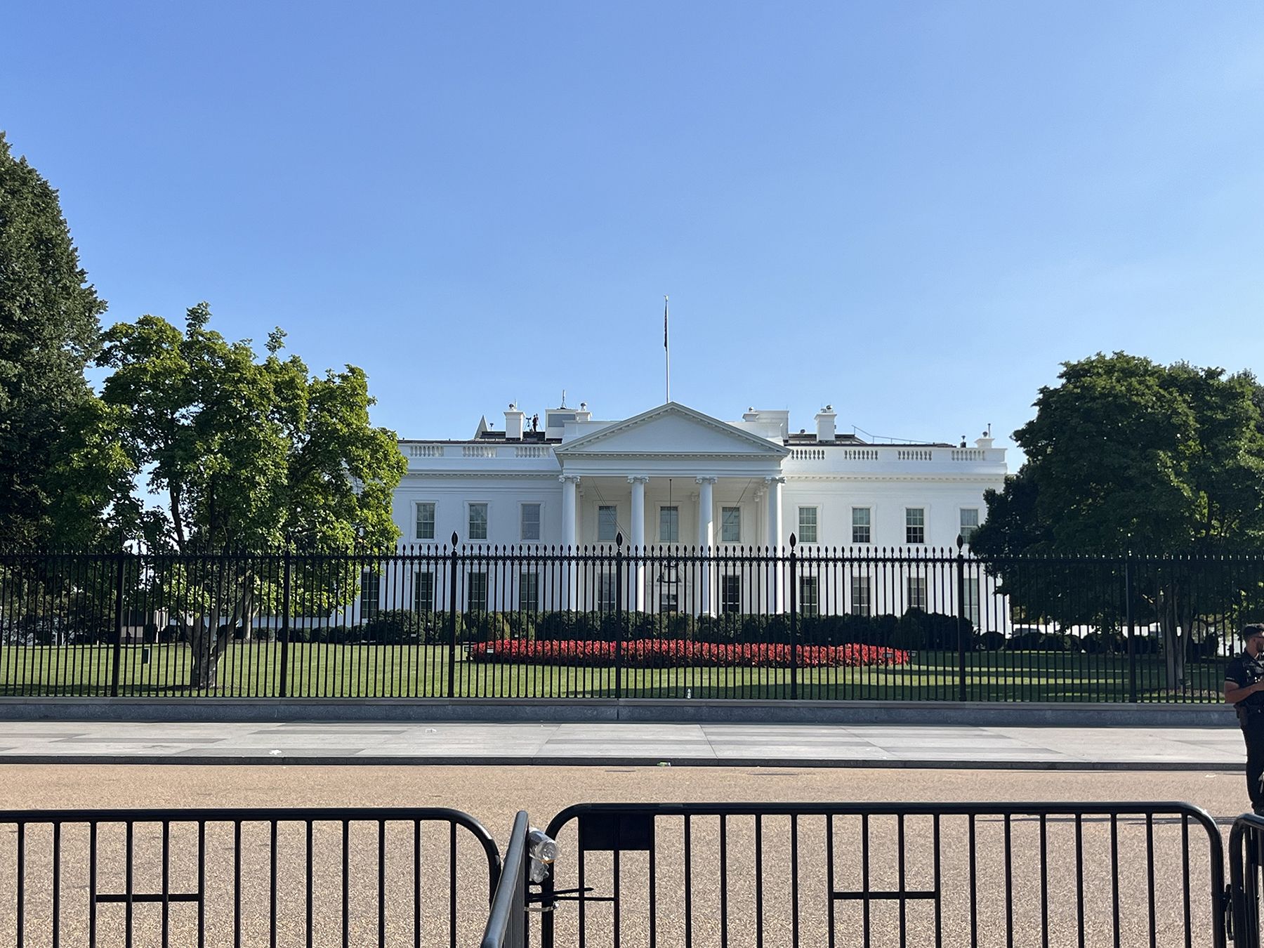 If Cannabis Went Federal: What It Could Mean for the Industry